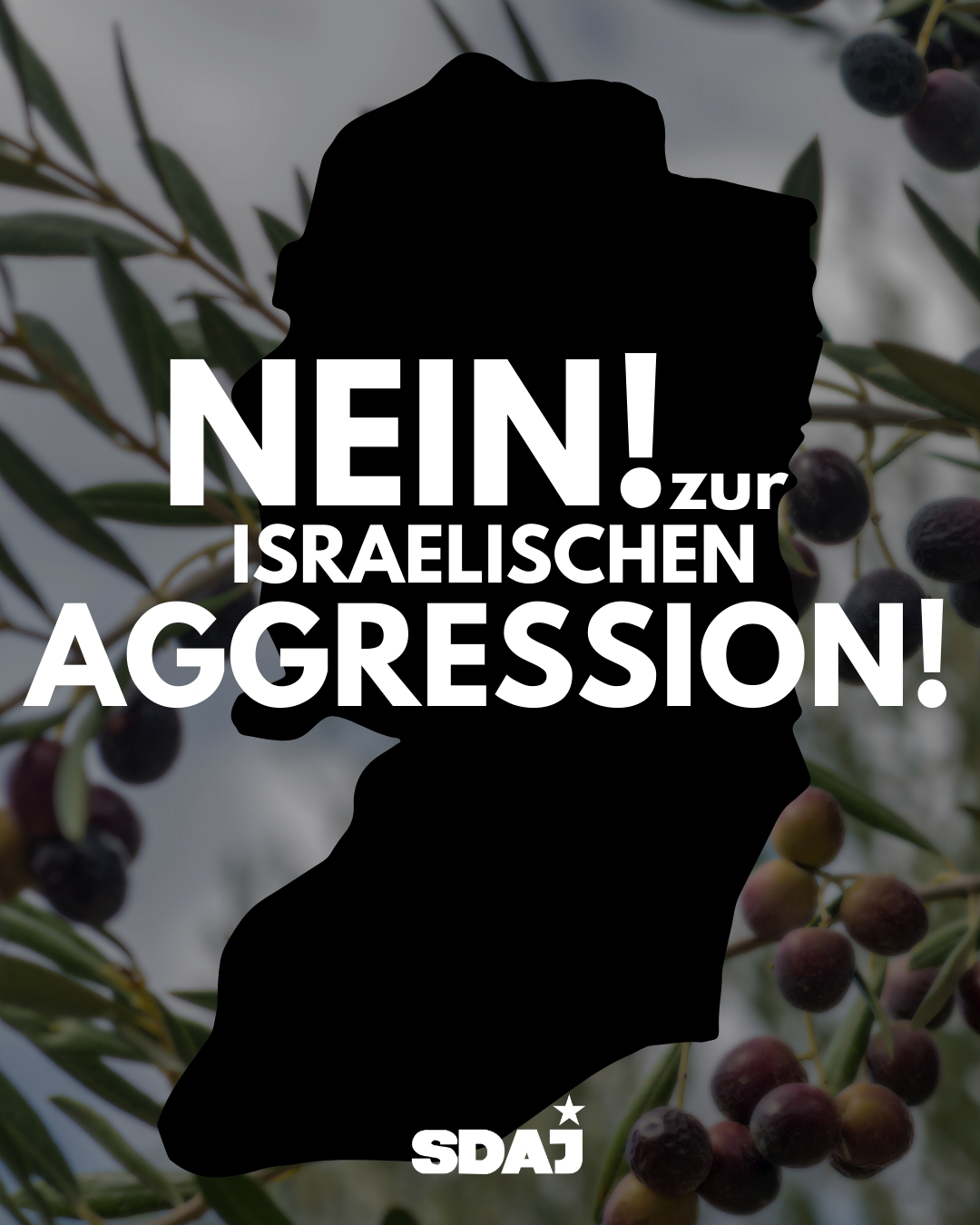 Nein! Zur israelischen Aggression!